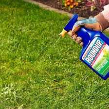 We selected best weed killers that are easy to use, have effective results, cover large areas, friendly to edible plants, vegetables and grass. Roundup For Lawn Ultra Ready To Use Weedkiller 1 Litre