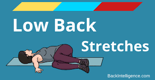 7 stretches for lower back pain safe