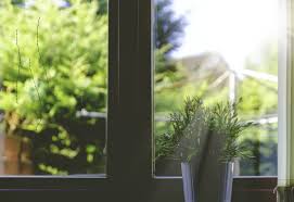 Tips To Repair Scratched Windows