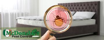 heat treatment to kill bed bugs