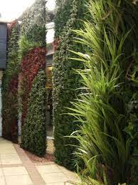 Artificial Plants Indoor