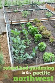 pacific nw raised garden bed gardening