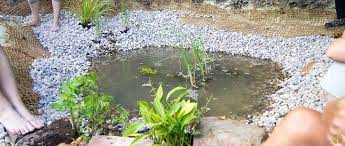 how to build a natural pond svarttorpet