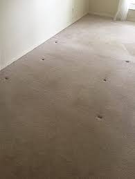 professional carpet cleaning in st