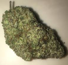 It can be used in the development of biotechnologies for the . Garlic Cookies The Only Strain I Ve Ever Had That I D Say Smells Absolutely Terrible Smells Like Sweaty Body Odor But Man It S A Very Nice Indica Dominant Hybrid Trees