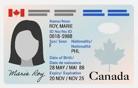 pr card and canadian citizenship