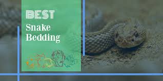 the best snake bedding 2021 petspest com