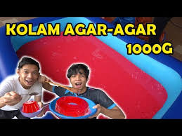 It is formed in the heartwood of aquilaria trees when they become infected with a type of mold (phialophora parasitica). Kolam Agar Agar Terbesar Di Asia Allif Imran Phuk