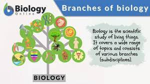 branches of biology biology