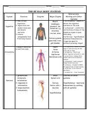 Body Systems Interactions Chart Pdf Name Period Date The