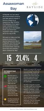 Fun Facts About Assawoman Bay Live Bayside