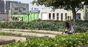 Urban Farms Food Gardens