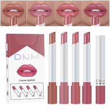 4 colors makeup lipstick cosmetics