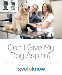 Aspirin Dosage For Dogs Canine Premisevoip Co