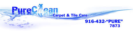 pure clean carpet tile care