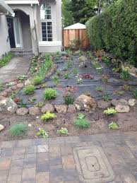 drought tolerant landscaping bay area