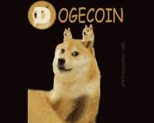 Learn how to mine dogecoin along with dogecoin profitability, and best doge mining software and hardware available at your disposal. Dogecoin Gifs Tenor