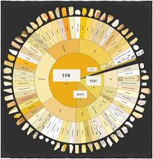 Infographic An Illustrated Guide To 66 Types Of Cheese Wired