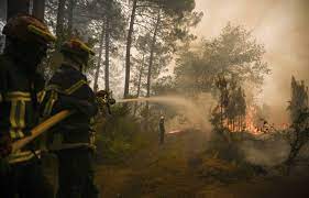 Gironde : Les feux reprennent si violemment, car la forêt est devenue un  véritable « champ d'allumettes »