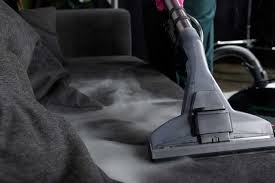 5 best upholstery steam cleaners of 2023