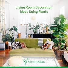 living room decoration ideas using plants