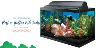Best 10 Gallon Fish Tanks Perfect For Your Home Top 8 Rated Reviews