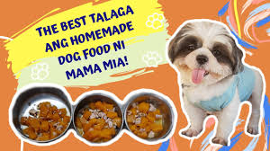 best dog food easy tipid healthy