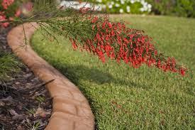 ideas to perfect your landscape edging