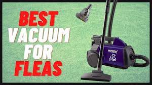 top 5 best vacuum for fleas 2022