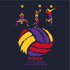 Are you kerala volleyball player? Strive Help Rebuild Kerala Flood Relief Fund Raising Sand Volleyball Tournament