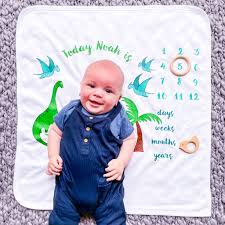 personalised dinosaur baby milestone