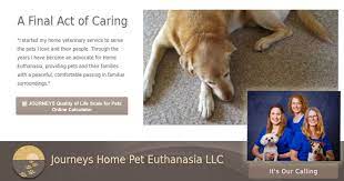 It's also important to accept your position as a pet keeper and not as a professional to significant steps. Journeys Home Pet Euthanasia Madison Wi Dane Iowa Jefferson Green