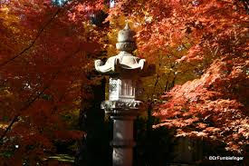a fall visit to the nishinomiya