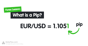 what is a pip in forex babypips com