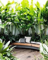 20 inspiring tropical backyard ideas