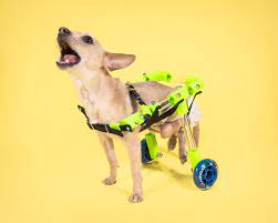 custom canine wheelchair make