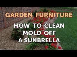 how to clean mold off a sunbrella you
