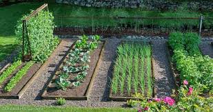 starting your own vegetable gardening