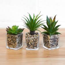 Small Artificial Succulent Glass Jars