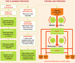 Wheat Cleaning And Milling Process Diagram Cleaning Steps