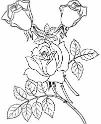 Jadi, jika anda ingin menanam bunga ros dengan cara stek, pilihlah indukan pohon ros yang menghasilkan daun mawar yang cantik dengan kualitas yang baik. 39 Gambar Sketsa Bunga Indah Sakura Mawar Melati Matahari Anggrek Teratai