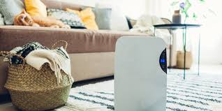 Your Dehumidifier In Hot Weather