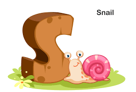 s for snail 1252038 vector art at vecy