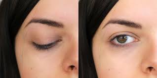 makeup 101 eyeshadow basics loepsie