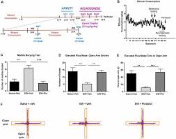 Frontiers Pindolol Rescues Anxiety Like Behavior And