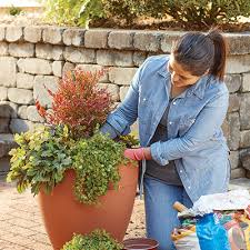 Fall Container Gardening Ideas The