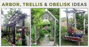 30 Arbor Trellis Obelisk Ideas For