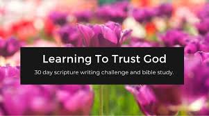 scriptures on trusting plus