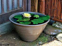 Make A Pond In A Garden Pot Times Of