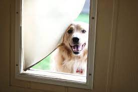 Install Dog Doors For Sliding Glass